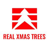 Real Xmas Trees image 1
